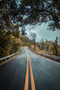 Empty road along trees