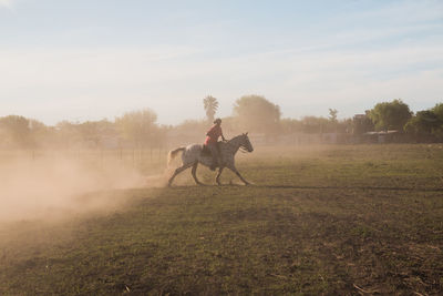 Man riding horse with a lot of dust