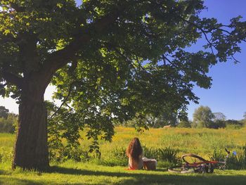 Scenic view of grassy field against sky