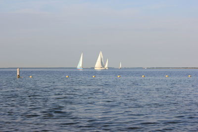 Sailboats in sea against sky