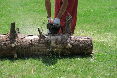 Midsection of man cutting log on lawn