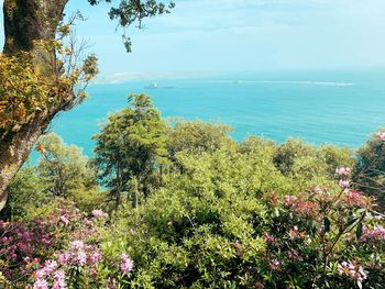 Scenic view of sea against sky