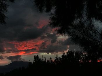 Silhouette trees against sky during sunset