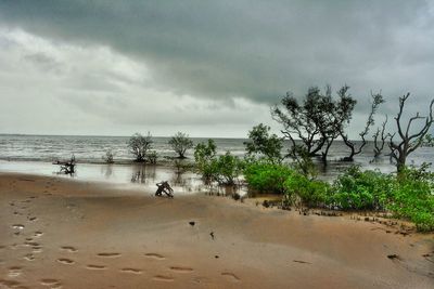 Scenic view of sea against cloudy sky