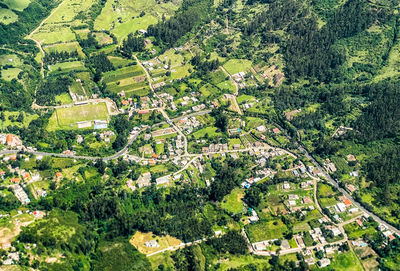 High angle view of tree by building