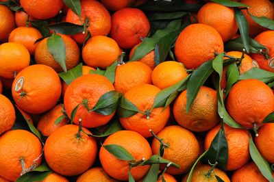 Full frame shot of oranges