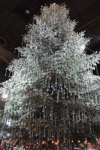 Low angle view of illuminated christmas tree at night