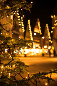 Illuminated christmas tree