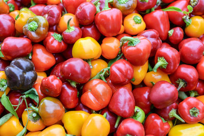 Tomatoes and peppers in a street market in union square, manhattan, new york city, usa