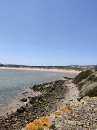 Scenic view of sea against clear sky