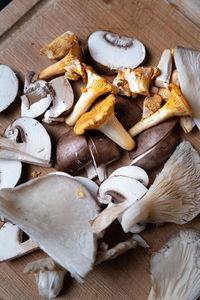 Close-up of mushrooms on table