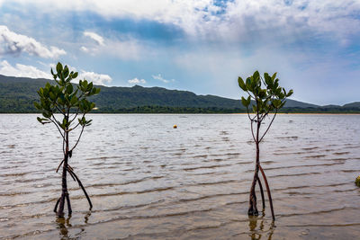 Scenic view of lake against sky