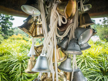 Close-up of clothes hanging on tree