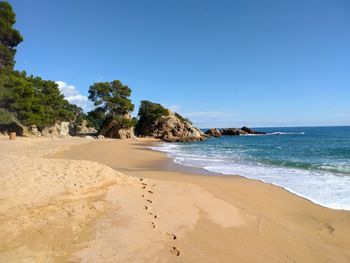 Scenic view of beach against clear blue sky