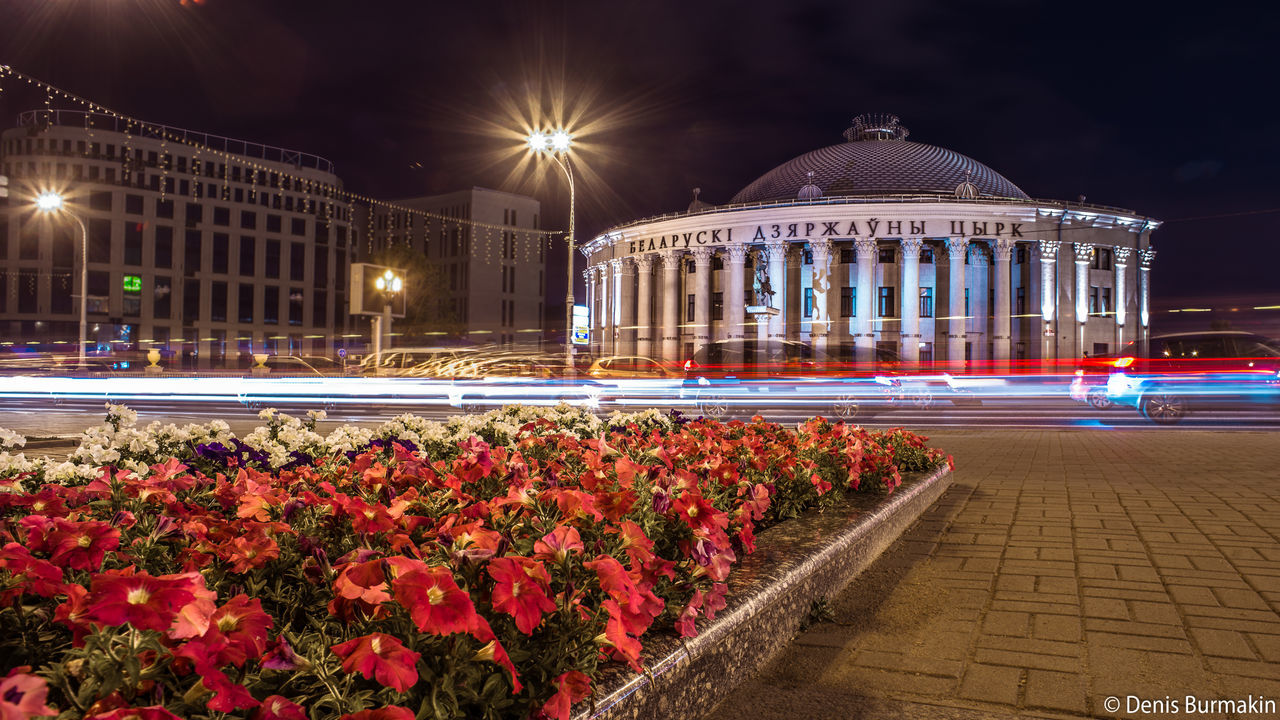 illuminated, flower, night, architecture, outdoors, built structure, building exterior, plant, nature, no people, sky, freshness