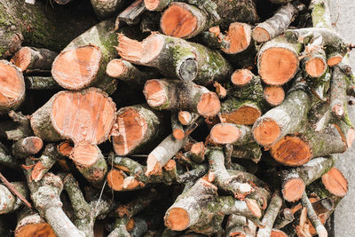 Full frame shot of logs in forest