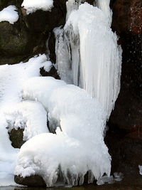 Close-up of frozen water