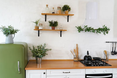 White kitchen interior with furniture, shelves and green houseplants in pots