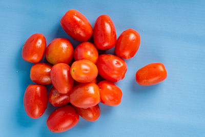 Directly above shot of fruits on table against blue background