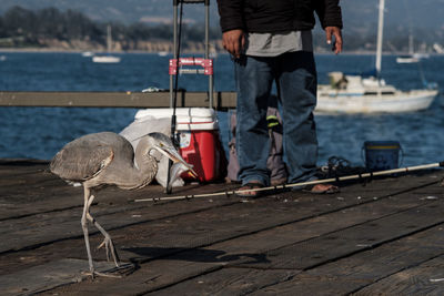 Low section of man standing on pier at harbor