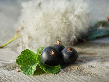 Close-up of fruits on table