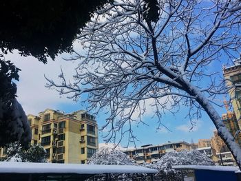 Low angle view of bare tree against sky