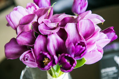 High angle view of purple tulips and cala lilies in vase
