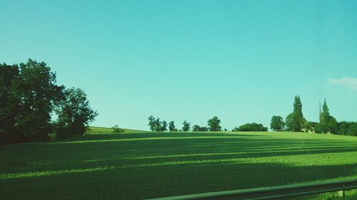 Scenic view of field against clear sky