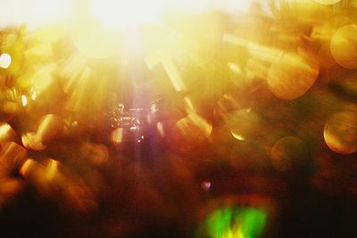 Sun shining through trees