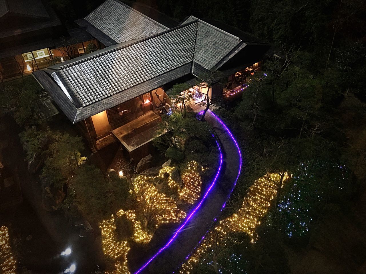 HIGH ANGLE VIEW OF ILLUMINATED BUILDINGS BY TREES