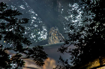 Statue amidst trees against water