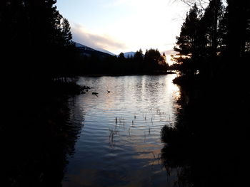 Scenic view of lake in forest against sky