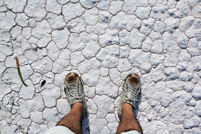 Low section of man standing on cracked field