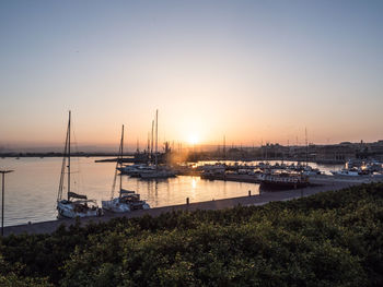 Sailboats moored at harbor against clear sky during sunset