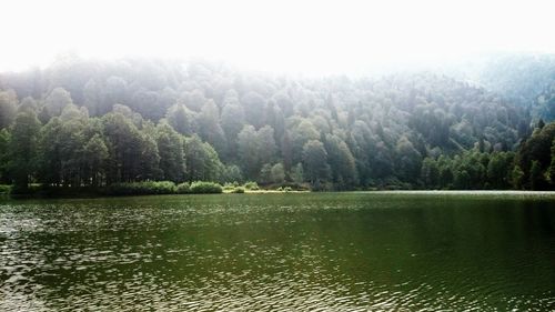 Scenic view of lake in forest against sky