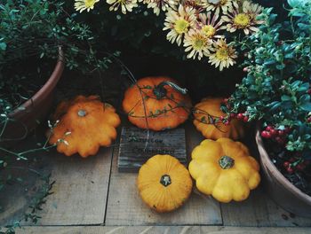 Close-up of orange pumpkins on wood