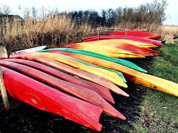 Multi colored umbrellas on field against trees