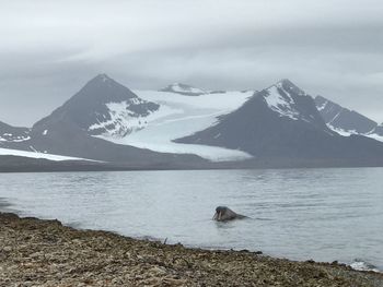 Scenic view of snowcapped mountains against sky