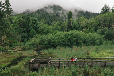 A young couple enjoys a hike on a boardwalk in the pacific northwest.