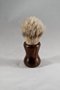 Close-up of plant against white background