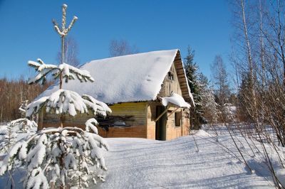 Snow covered houses by trees against sky