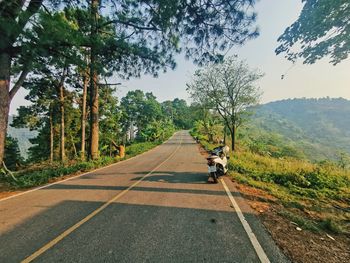 Road amidst trees against sky