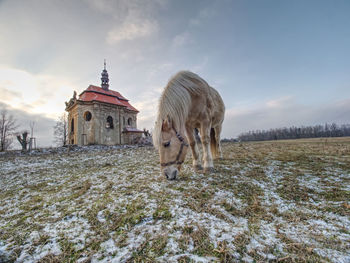 View of building on snow covered field against sky