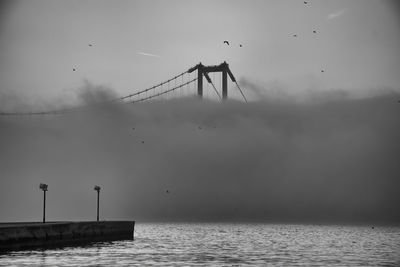 View of birds flying over sea and fog