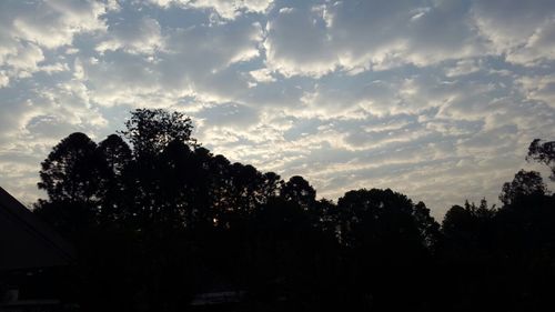 Silhouette trees against sky during sunset