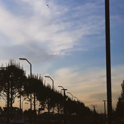 Low angle view of silhouette trees by building against sky