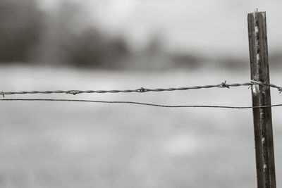 Close-up of barbed wire fence against blurred background