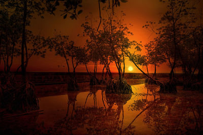 Silhouette trees by lake against sky during sunset