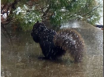 Close-up of water in water