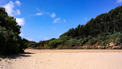 Scenic view of beach against blue sky